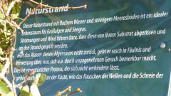 Thiessow und Lotsenturm (10)