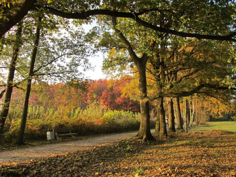 Herbst_04