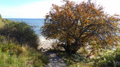Thiessow und Lotsenturm (13)