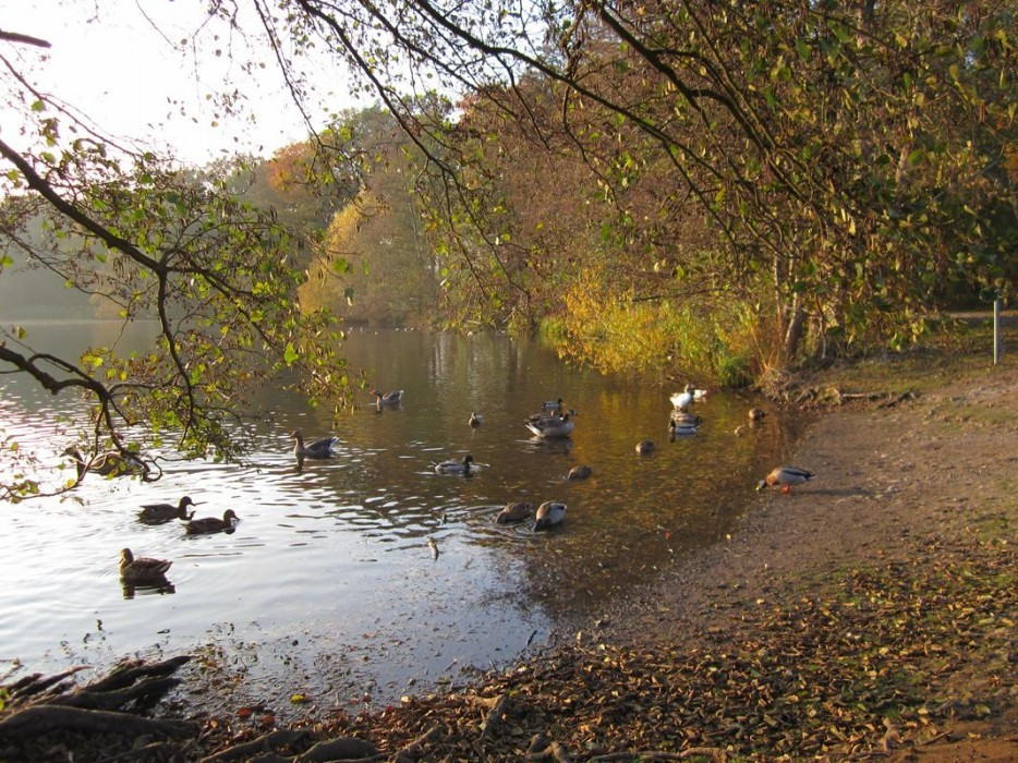 Herbst_05