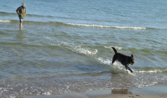 Binzer Bucht Strandleben  (12)