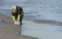 Binzer Bucht Strandleben  (16)