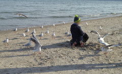 Binzer Bucht Strandleben  (29)