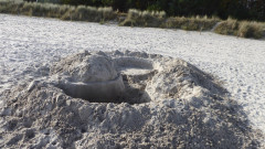 Binzer Bucht Strandleben  (22)