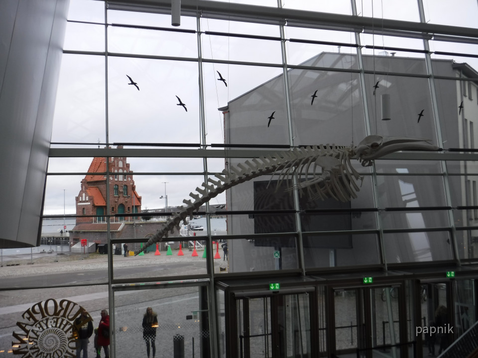 Foyer Ozeaneum