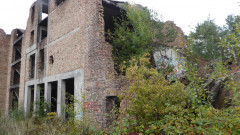 Prora 2021