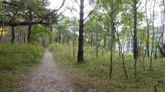 Prora 2021