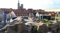 Ozeaneum  (18)
