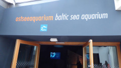 Ozeaneum  (5)