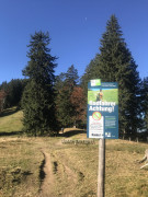 Steineberg-Bärenkopf