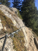 Steineberg-Bärenkopf