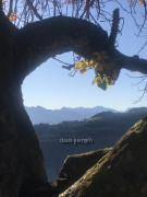 Steineberg-Bärenkopf