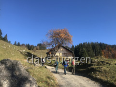 Steineberg-Bärenkopf