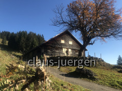 Steineberg-Bärenkopf