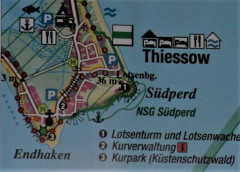 Südperd