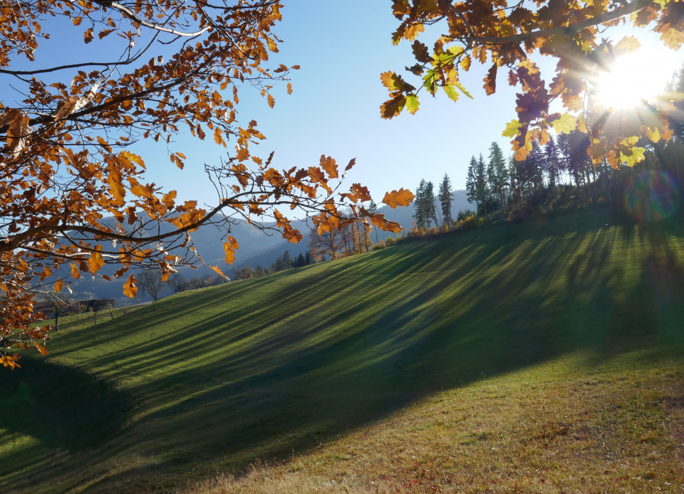 Herbststimmung