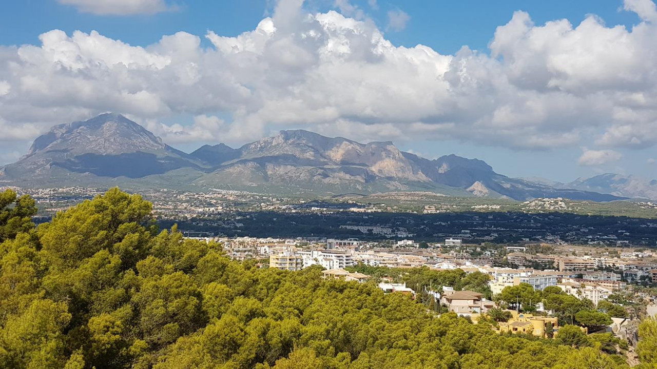 B_Faro Albir 10