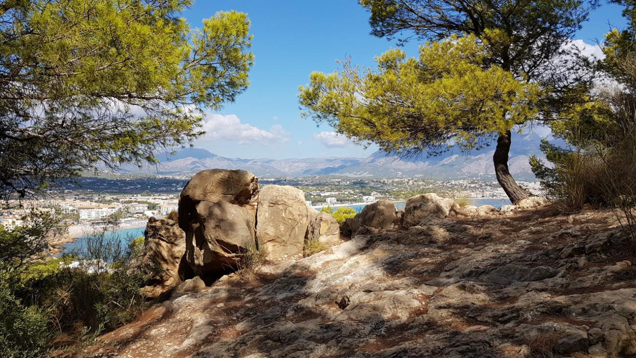 B_Faro Albir 12