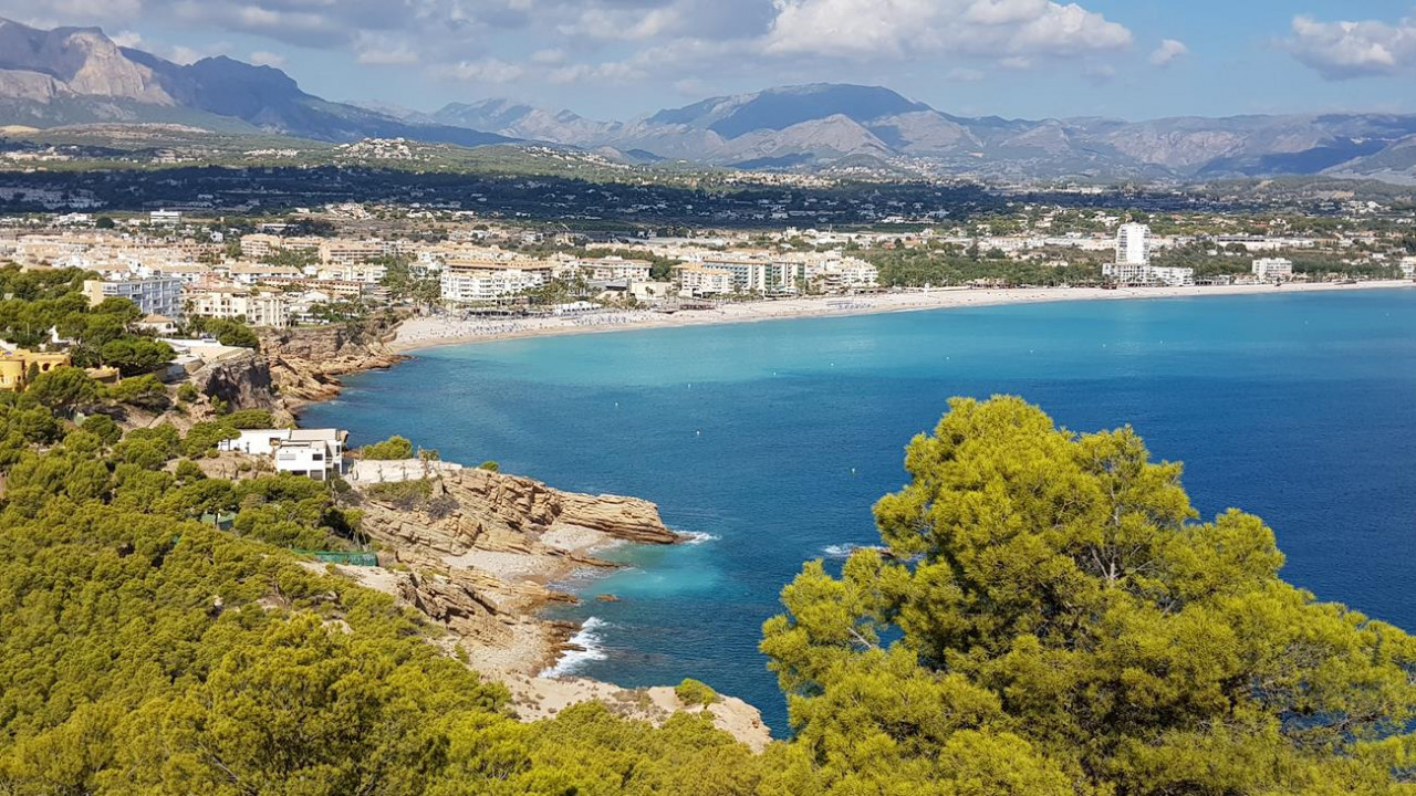 B_Faro Albir 13