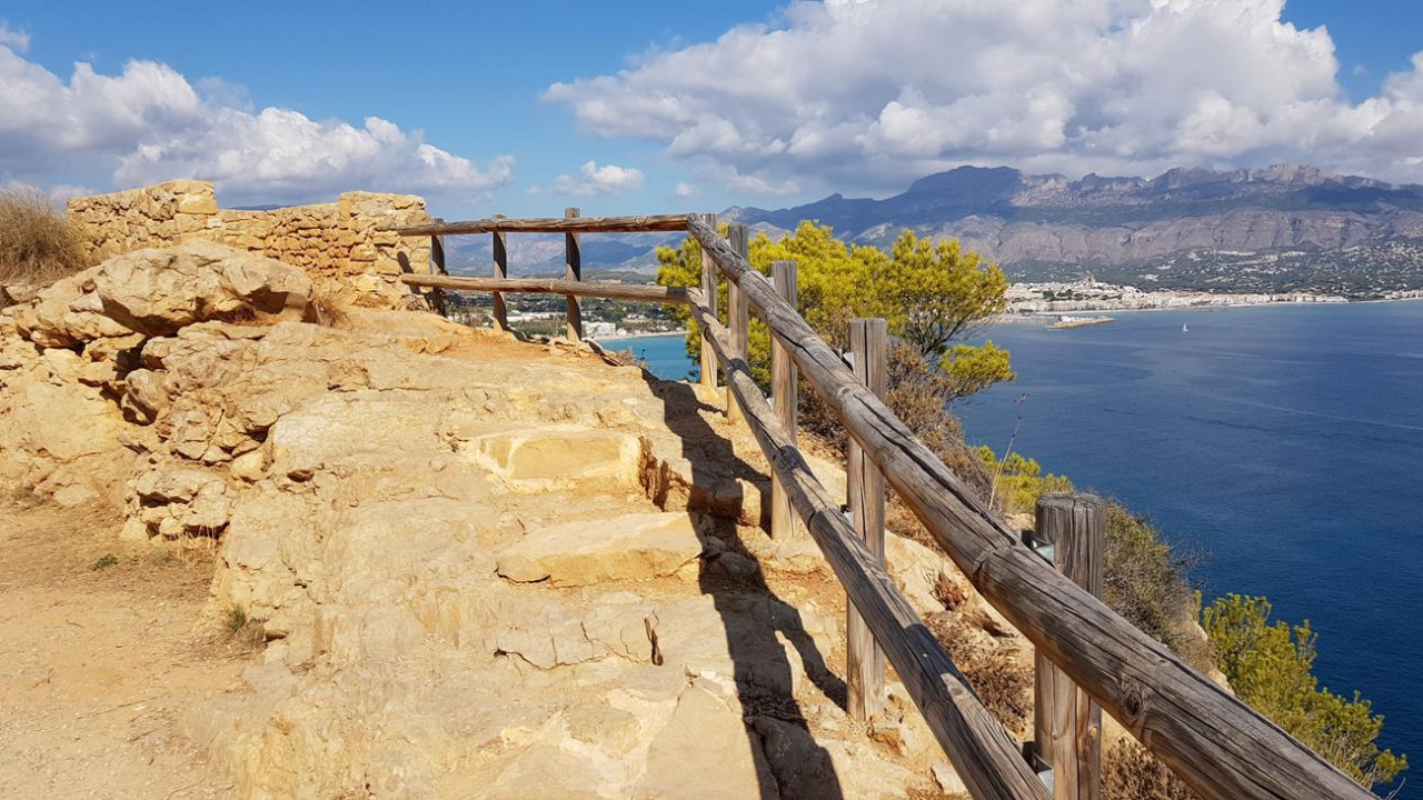 B_Faro Albir 16