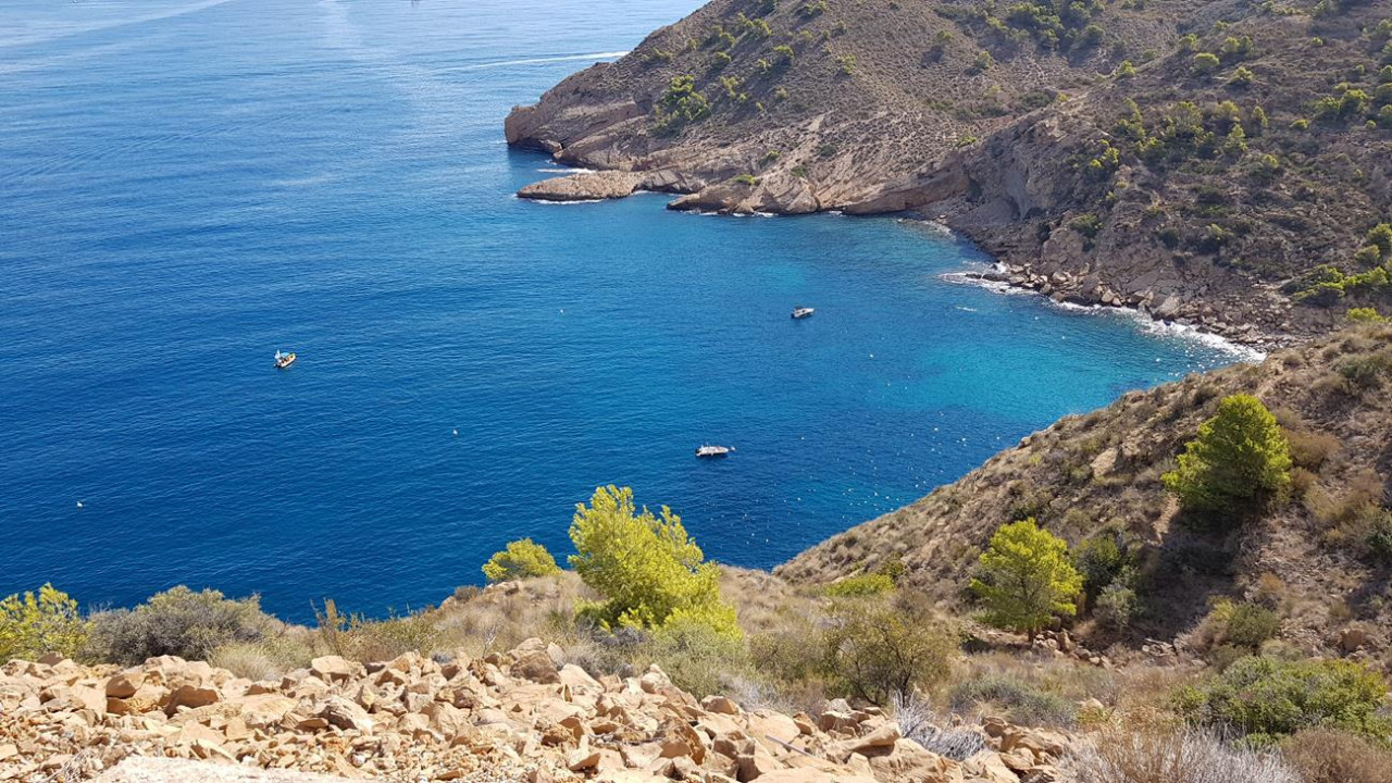 B_Faro Albir 17