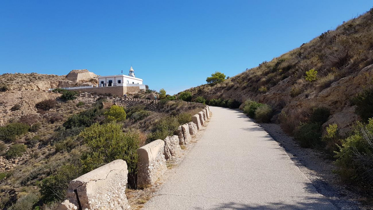 ?random=0&maxWidth=0&embedded=0&thumbnail=medium