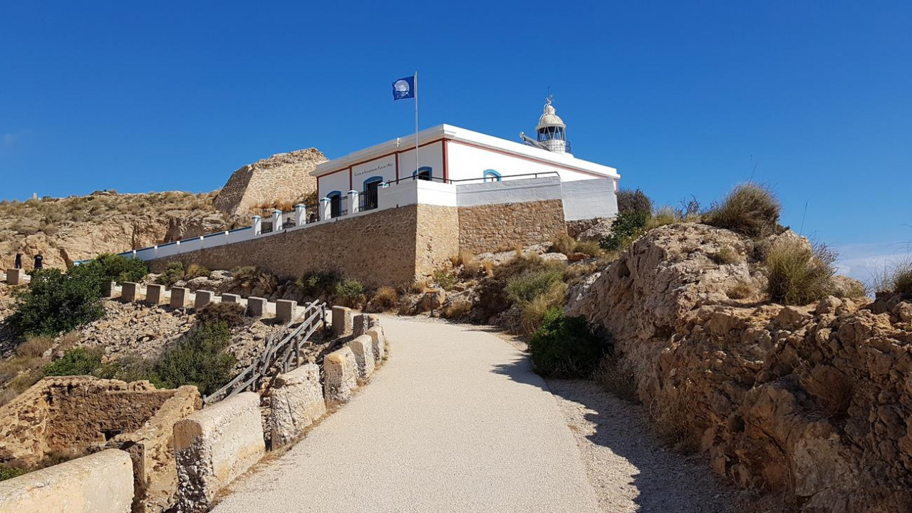 B_Faro Albir 25