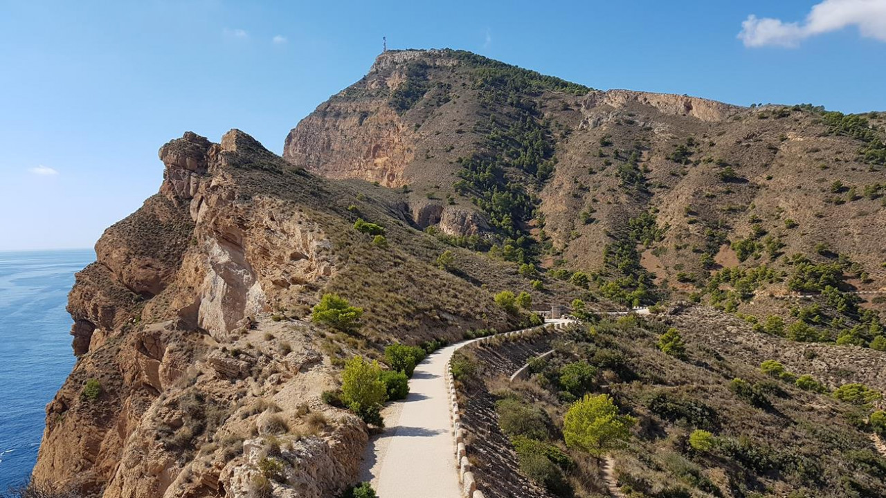 B_Faro Albir 28