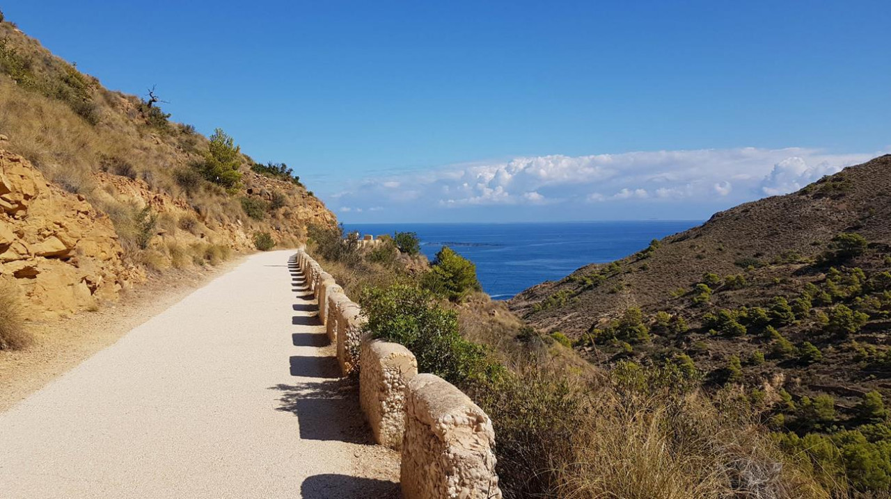 B_Faro Albir 31