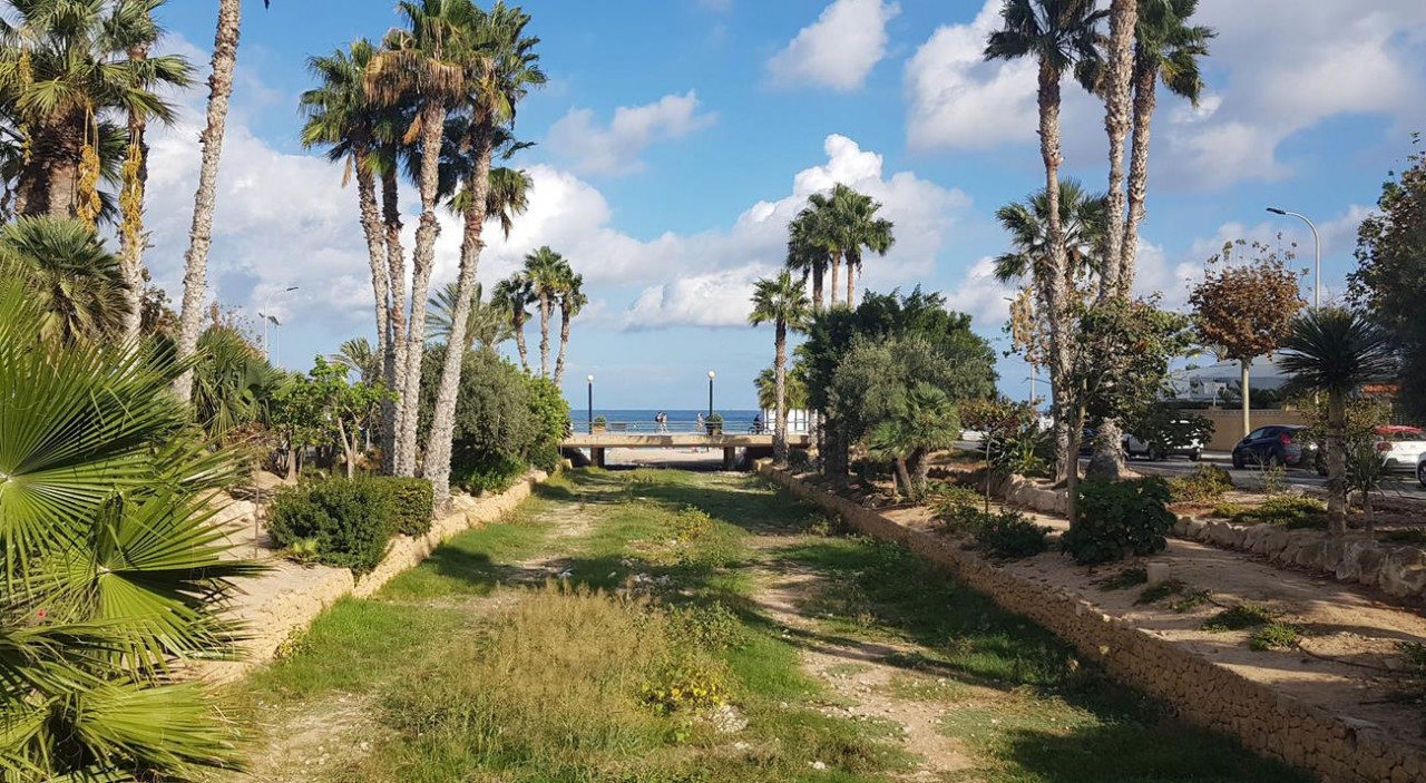 B_Faro Albir 33