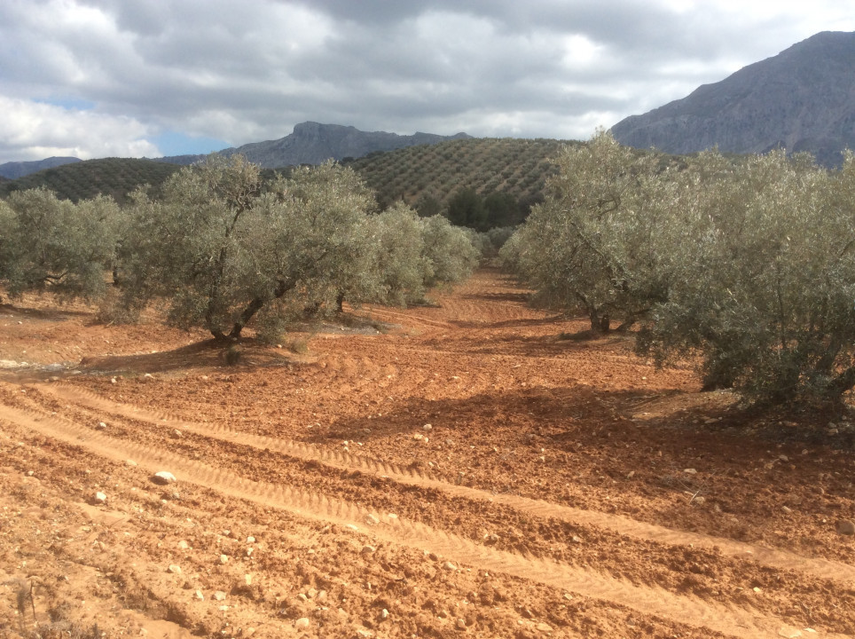 Antequera