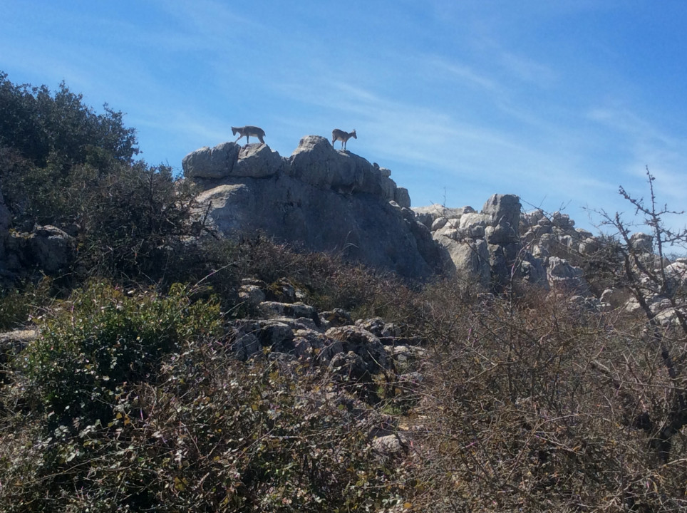Antequera