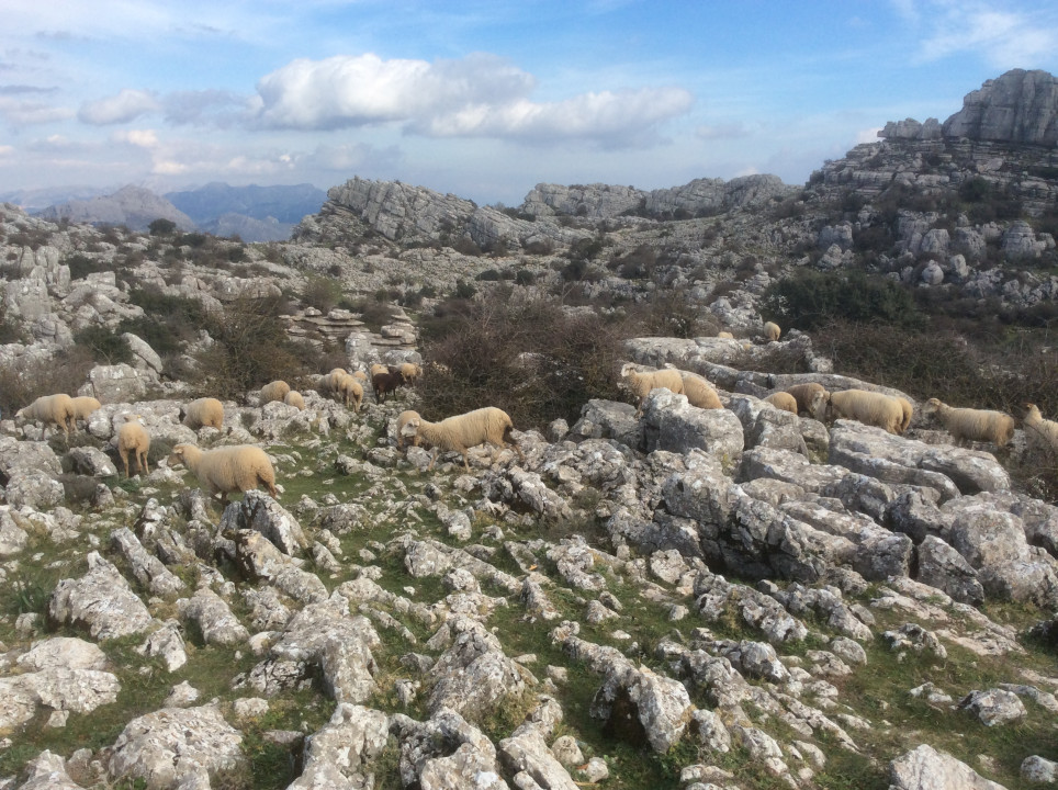 Antequera