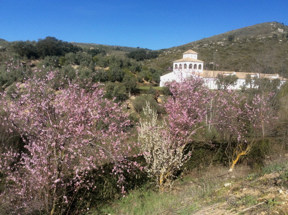 Antequera