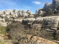 Antequera