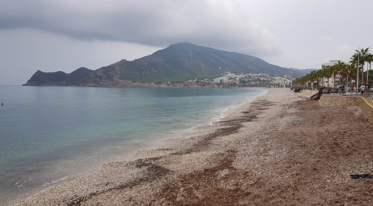 E_Albir Paseo 1