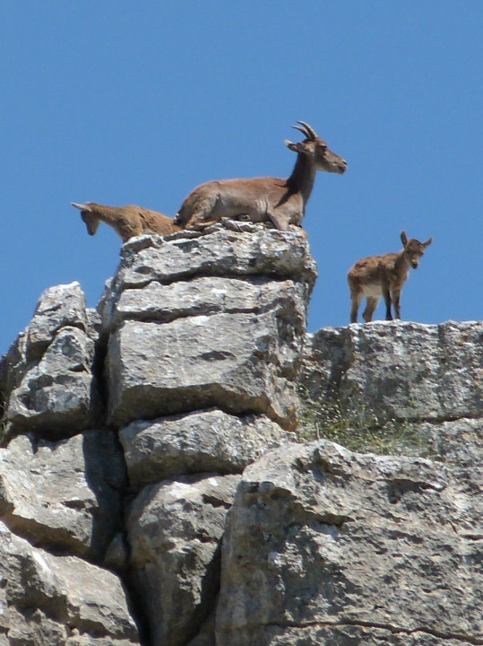 El Torcal