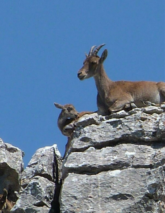 El Torcal