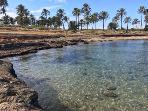 Playa Torrevieja