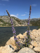 Wanderung Zrmanja Obrovac