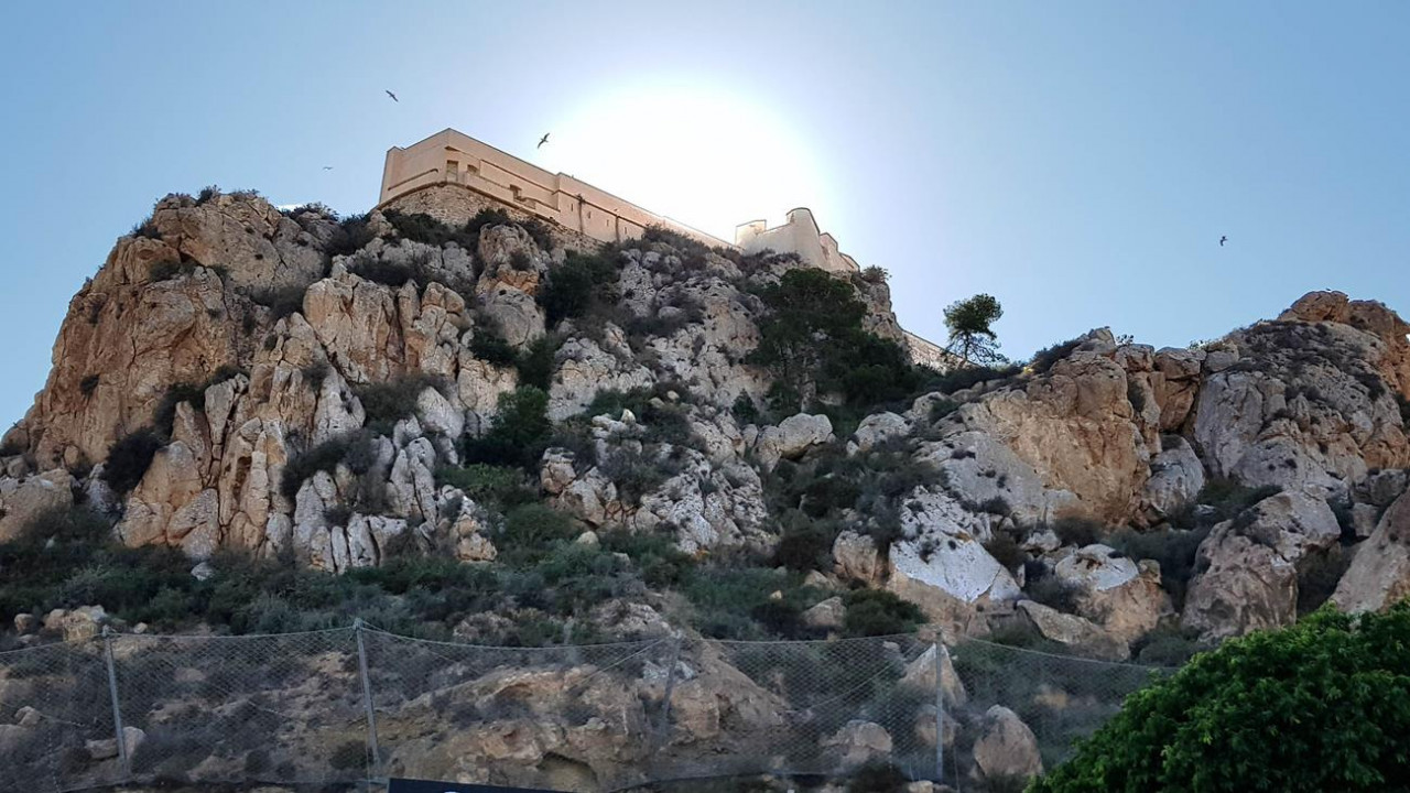 Águilas 07