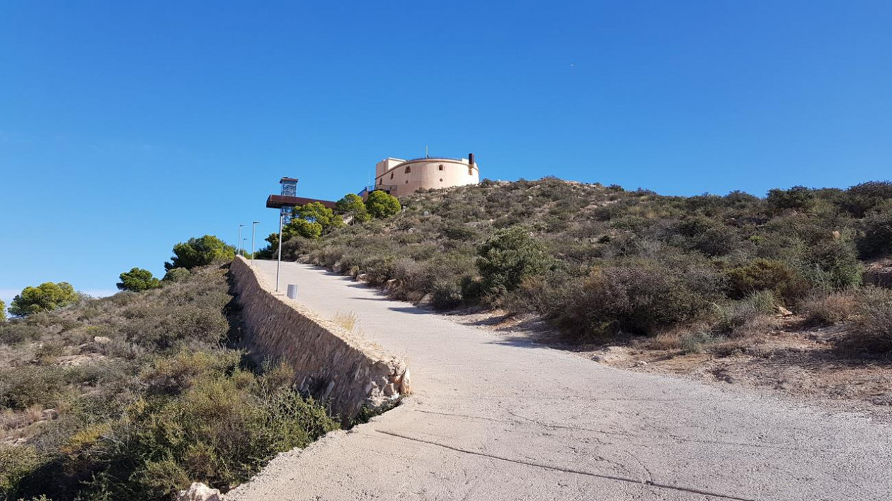 Águilas 11