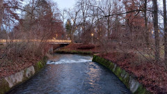 2 DEZ 21 Irlachweiher  (5)