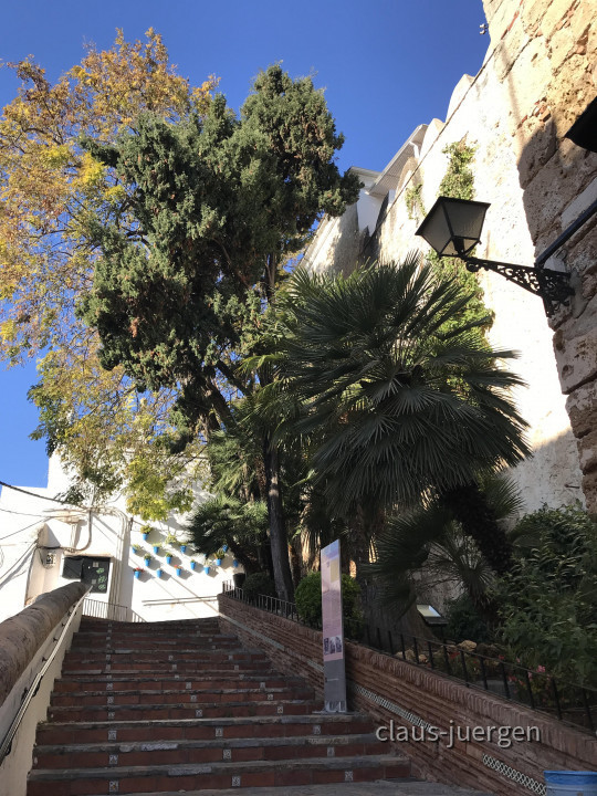 Marbella (5)
