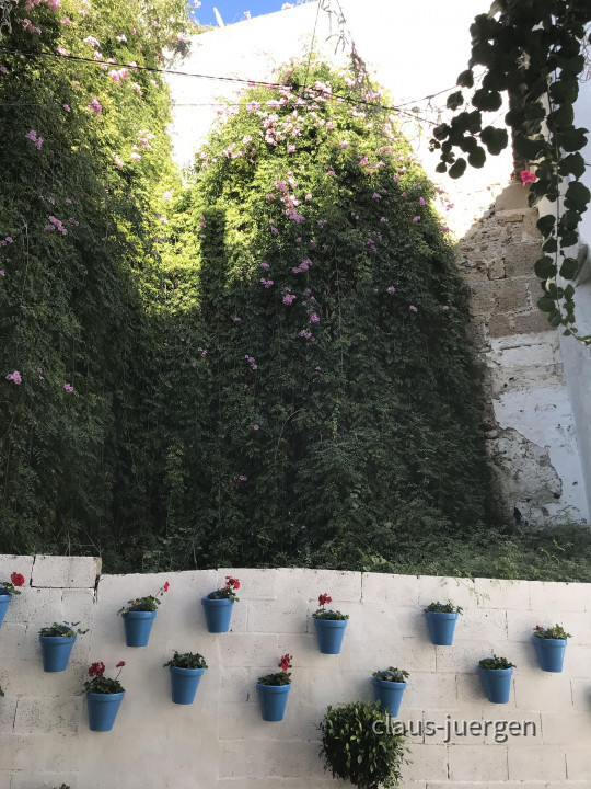 Marbella (34)