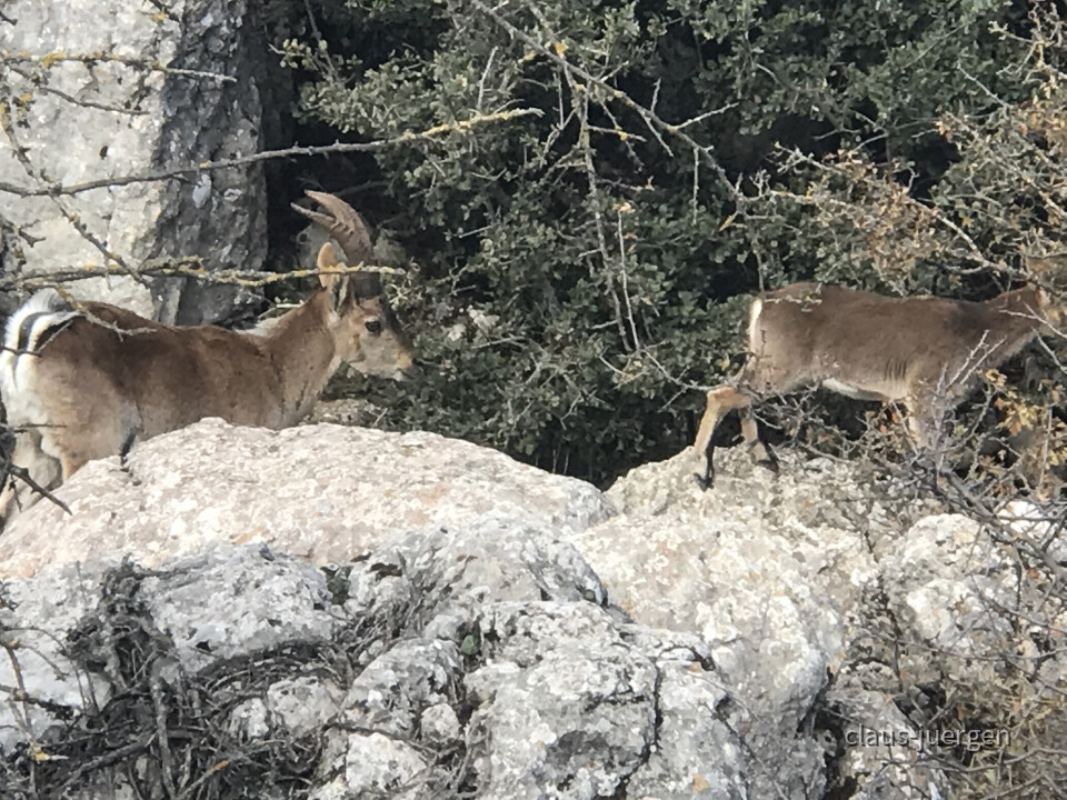 El Torcal