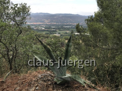Chateau Corbere