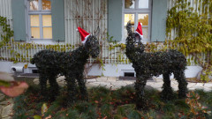 Bad Aibling 2.Advent 2021