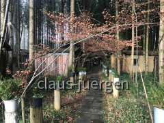 Heinrich Maucher (10)