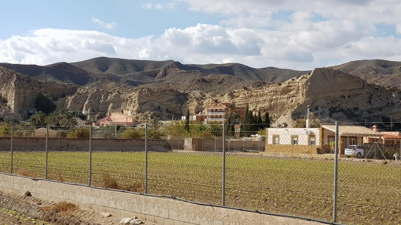 Cuevas de Almanzora 21
